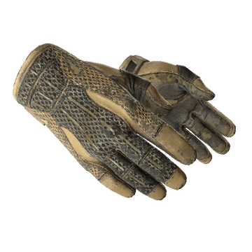 ★ Sport Gloves - Arid
