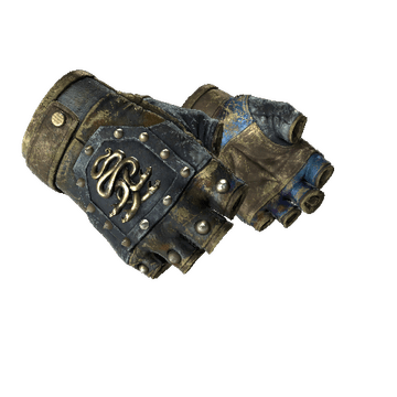 ★ Hydra Gloves - Case Hardened