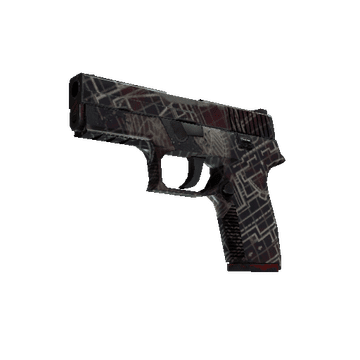 P250 - Facility Draft