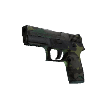 P250 - Boreal Forest