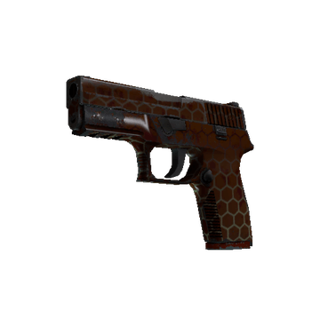P250 - Hive